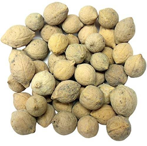     			Nutrixia Food Putrajeevak Beej Putrajivak Seeds  Putrijivak Beej 50 gm