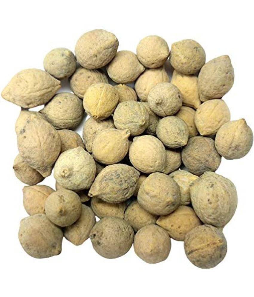 Nutrixia Food Putrajeevak Beej Putrajivak Seeds Putrijivak Beej 480 gm Nutrixia Food Putrajeevak Beej Putrajivak Seeds Putrijivak Beej 480 gm