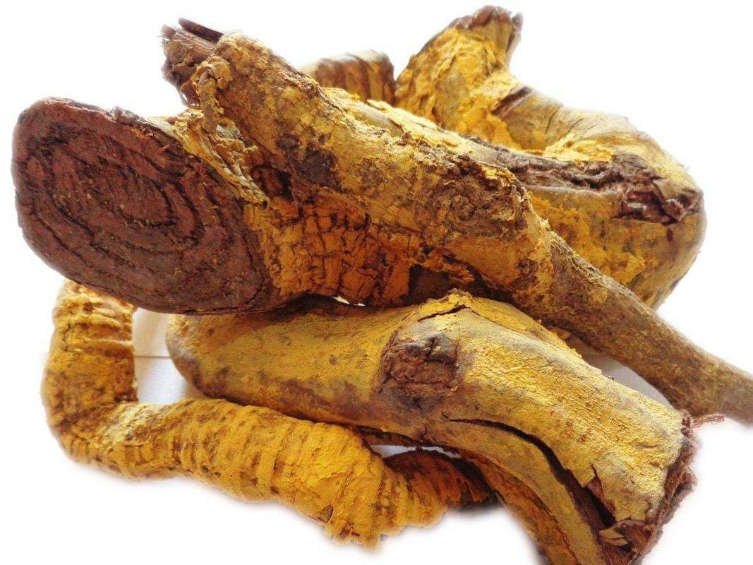     			Nutrixia Food Saptarangi Saptarangi Root - Saptrangi Jadd - Saptaranj- Saptarangi 50 gm
