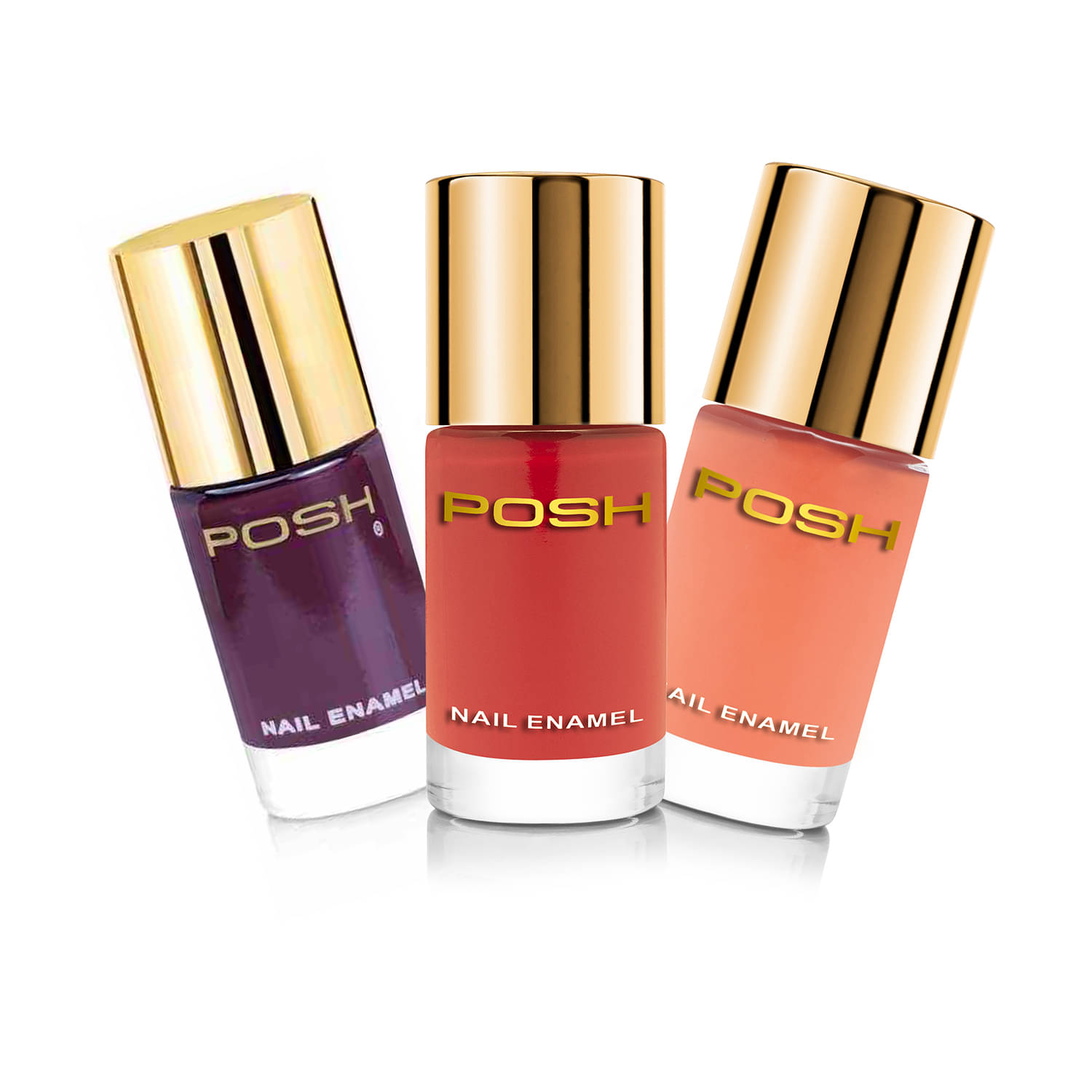     			Posh - Multi Glossy Nail Polish ( Pack of 3 )