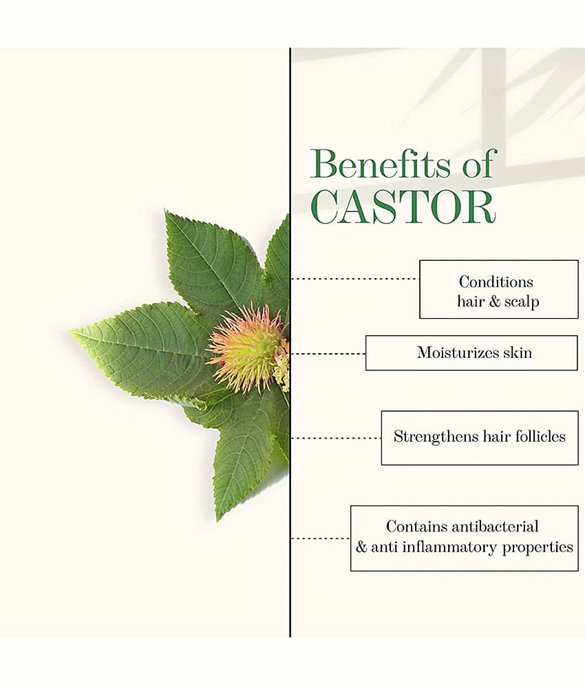 GULBADAN Cold Pressed Olive Oil and Castor Oil 100 mL Pack of 2