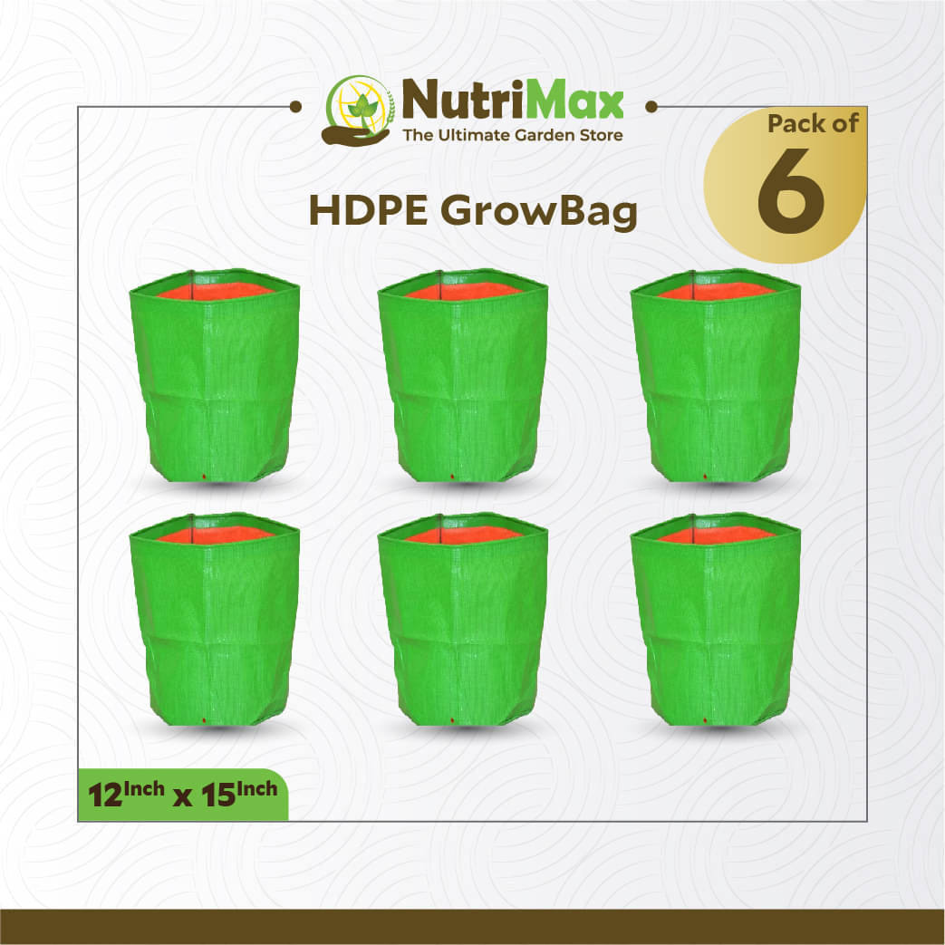 Nutrimax HDPE 200 GSM Growbags 12 inch x 15 inch Pack of 6 Outdoor Plant Bag Nutrimax HDPE 200 GSM Growbags 12 inch x 15 inch Pack of 6 Outdoor Plant Bag