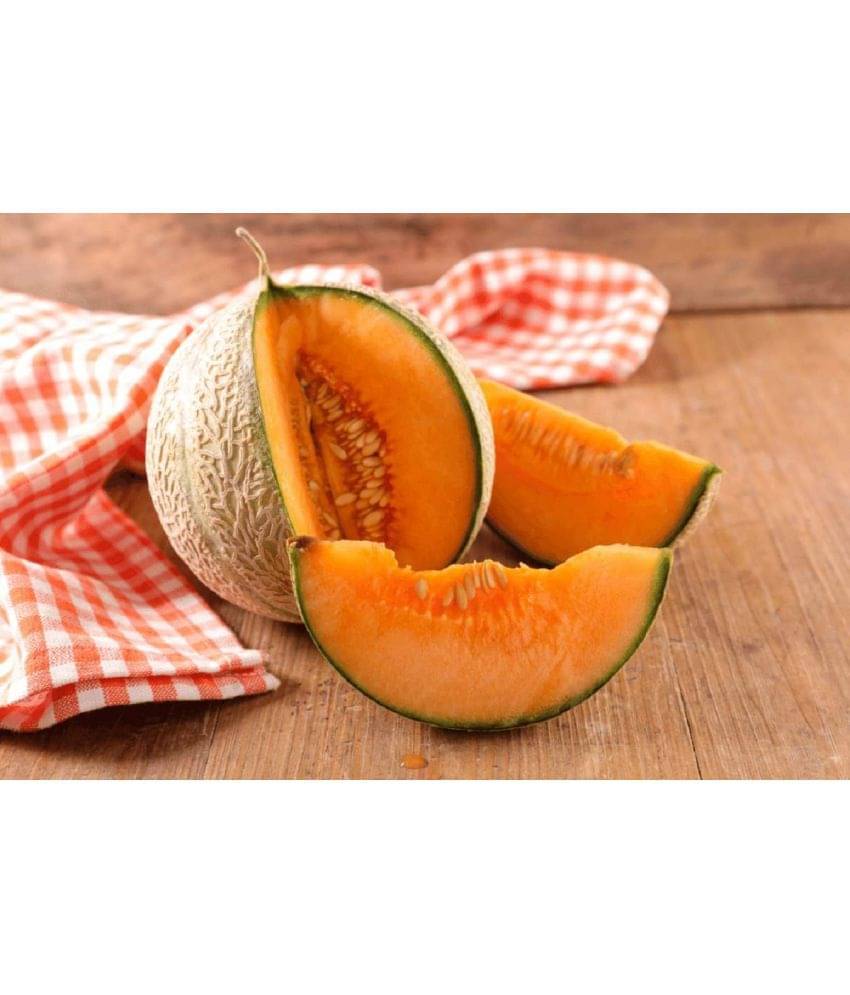     			F1 Hybrid Muskmelon Orange Fruit Seeds