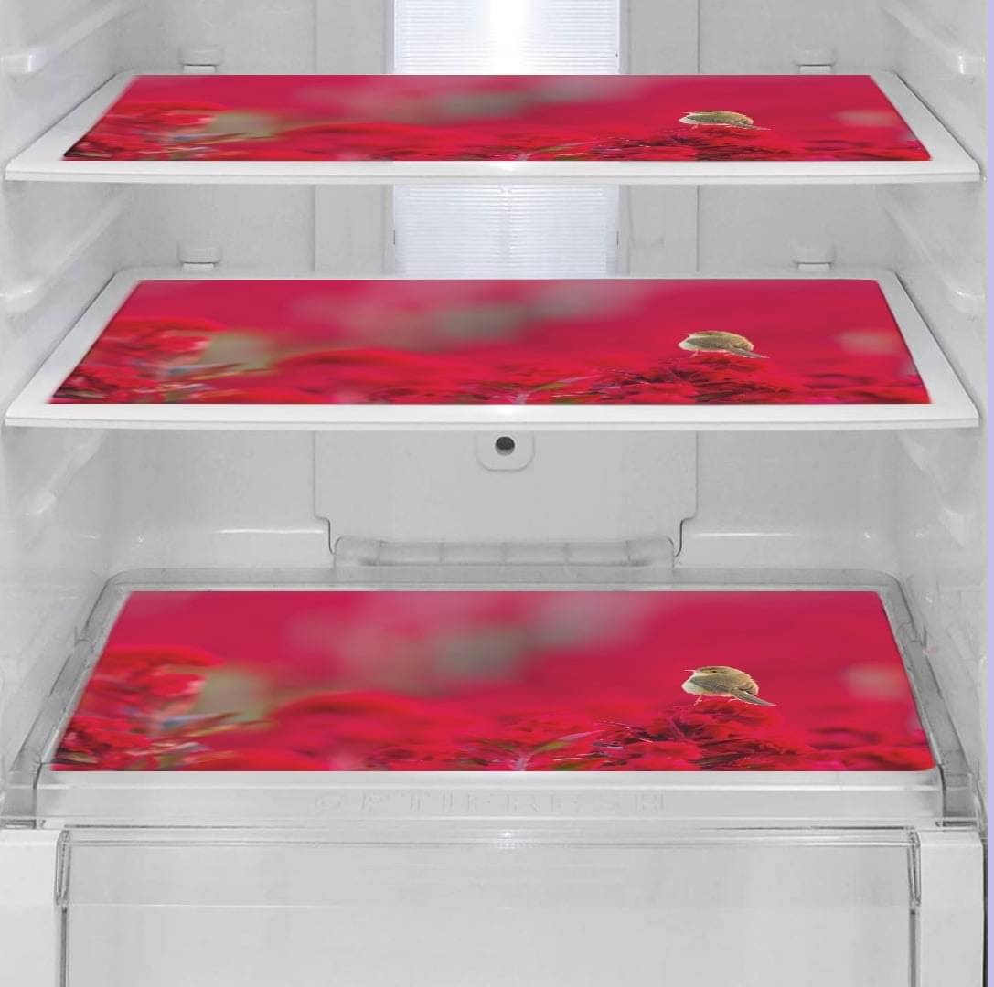     			Revexo Set of 3 PVC Multicolor Fridge Mats