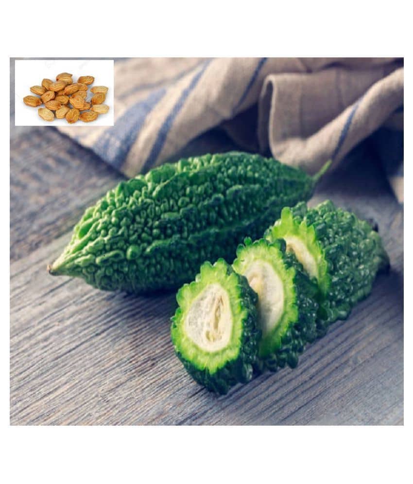 All Season Bitter Guard Vegetable Seeds - 50 Seeds/Pack + Instruction Manual Inside Package