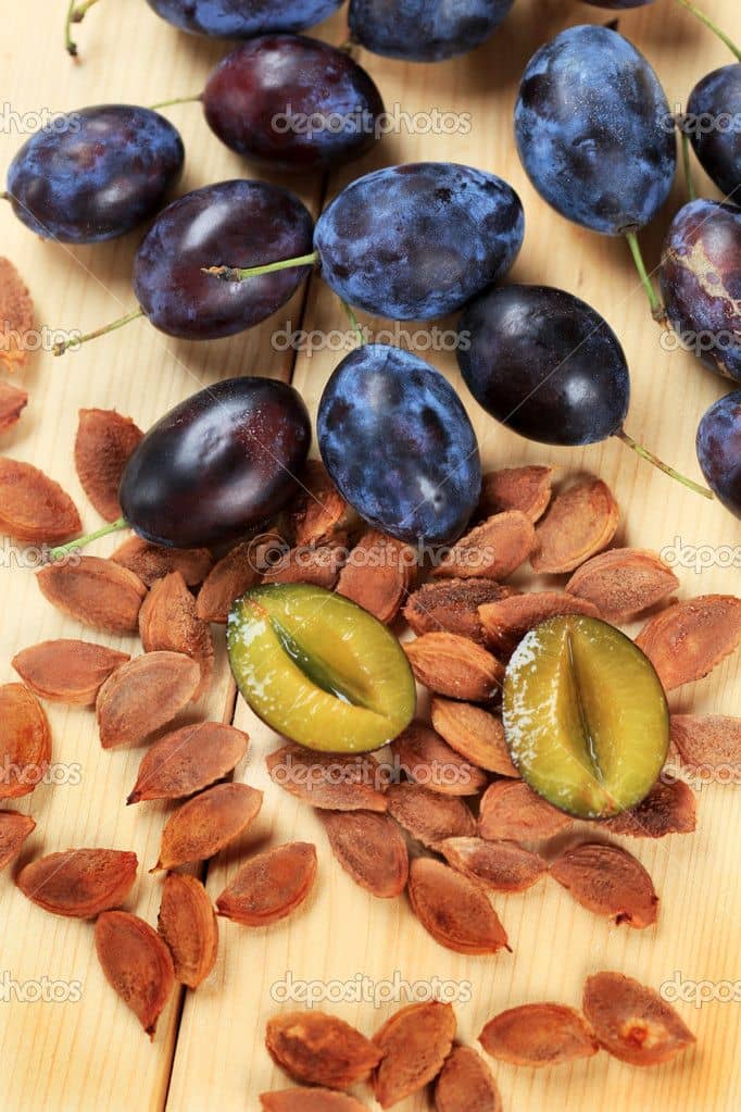 10 Seeds Witch Finger Grape Vine Seeds Juicy Fruit Seeds