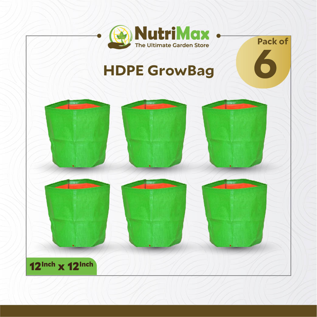     			Nutrimax HDPE 200 GSM 12 inch x 12 inch Pack of 6 Outdoor Plant Bag
