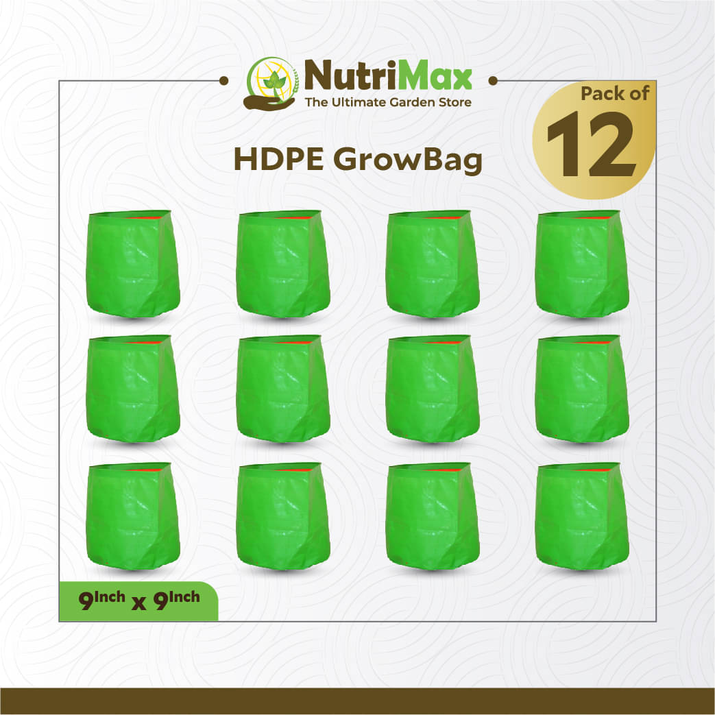     			Nutrimax HDPE 200 GSM 9 inch x 9 inch Pack of 12 Outdoor Plant Bag