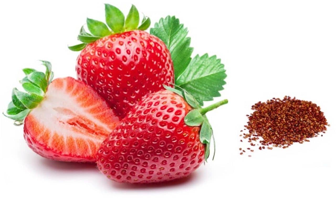 Strawberry Alpine Fragaria Variety seed ( 20 Seeds)