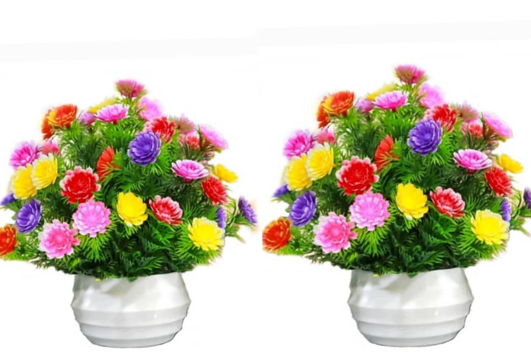 zonezer sunflower Multicolour Bonsai Plastic - Pack of 2