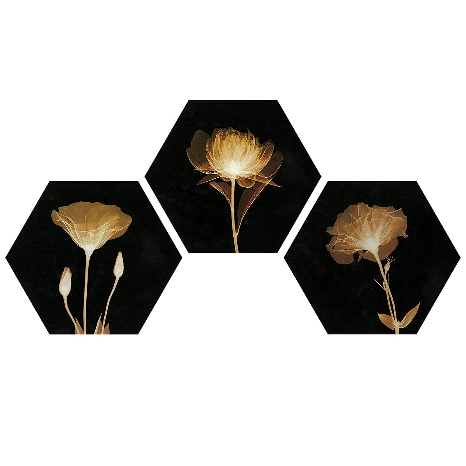 Indianara Hexagon Paintings MDF Painting Without Frame