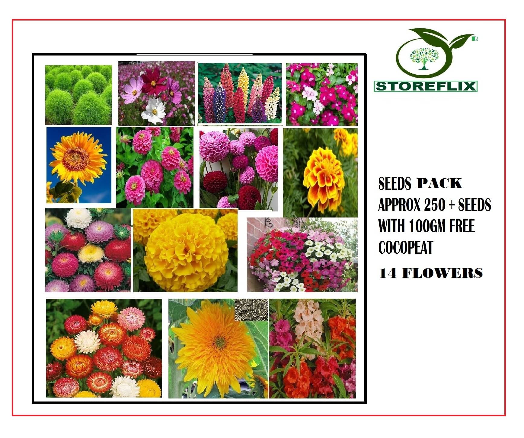 STOREFLIX 14 DIFFERENT TYPE MIX VARIETY FLOWERS Seed (MIX 200 per packet) WITH FREECOCOPEAT SOIL AND USER MANUAL COMBO PACK STOREFLIX 14 DIFFERENT TYPE MIX VARIETY FLOWERS Seed (MIX 200 per packet) WITH FREECOCOPEAT SOIL AND USER MANUAL COMBO PACK