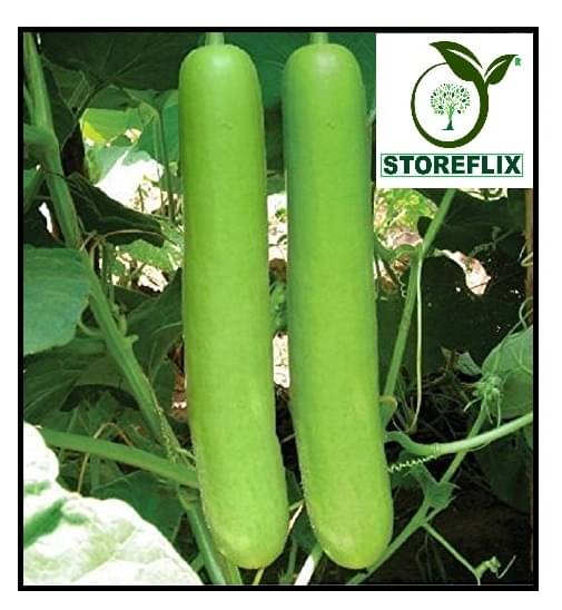 STOREFLIX BOTTLE GOURDLONG VEGETABLE PLANT Seed (20 per packet) WITH USER MANUAL STOREFLIX BOTTLE GOURDLONG VEGETABLE PLANT Seed (20 per packet) WITH USER MANUAL