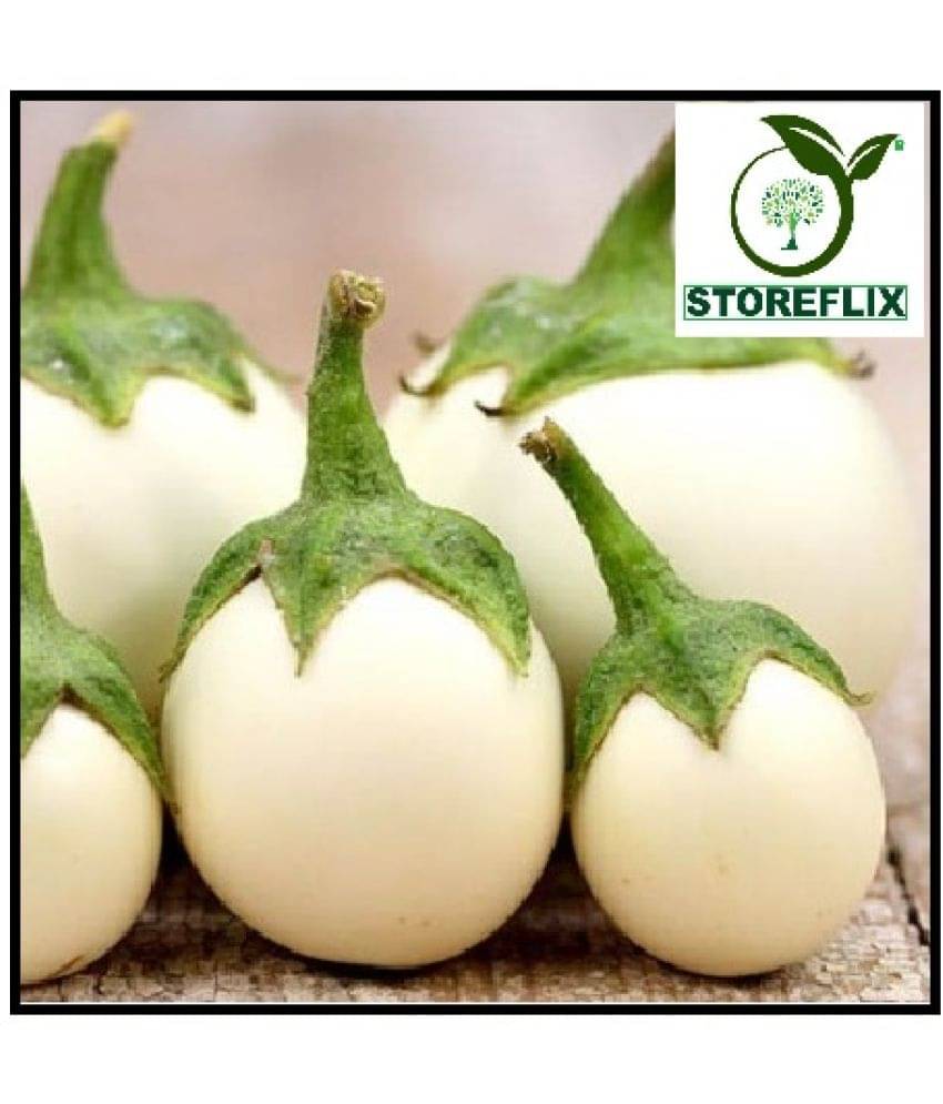 STOREFLIX BRINJAL WHITE ROUND Seed (50 per packet) WITH USER MANUAL STOREFLIX BRINJAL WHITE ROUND Seed (50 per packet) WITH USER MANUAL