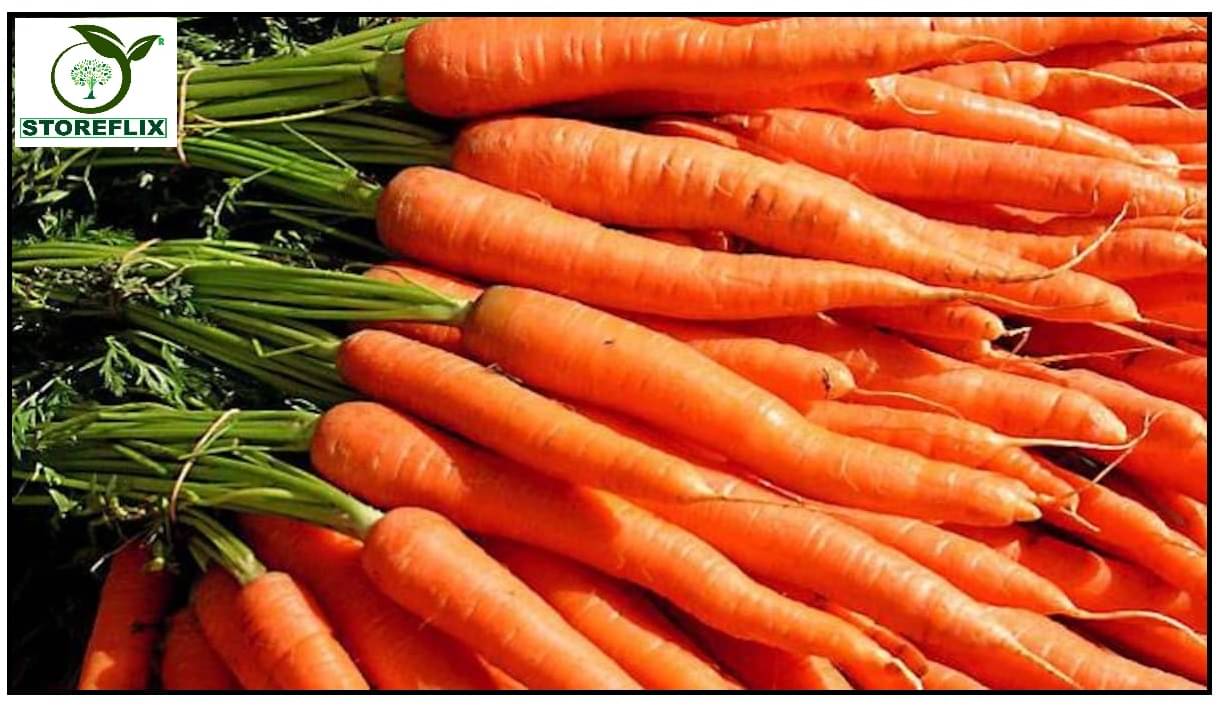     			STOREFLIX CARRORT ORANGE GAJAR Seed (100 per packet) WITH USER MANUAL