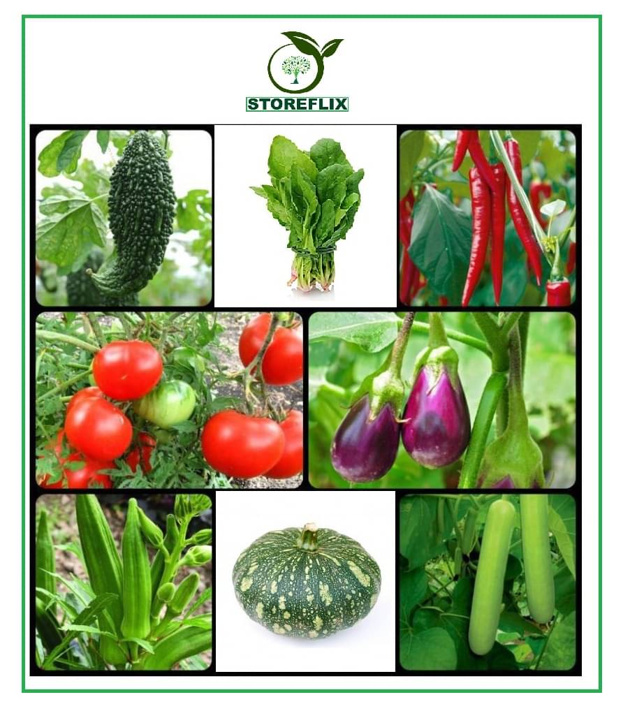 STOREFLIX DIFFRENT 8 DIFFERENT TYPE VEGETABLE APPROx 200 mix SEEDS COMBO PACK WITH USER MANAUAL STOREFLIX DIFFRENT 8 DIFFERENT TYPE VEGETABLE APPROx 200 mix SEEDS COMBO PACK WITH USER MANAUAL