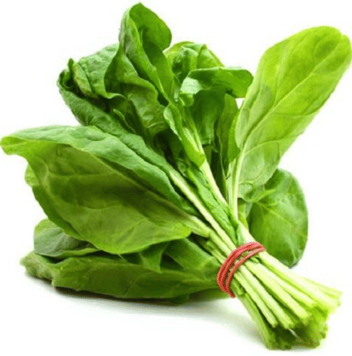     			STOREFLIX GREEN SPINACH PALAK Seed (100 per packet) WITH USER MANUAL