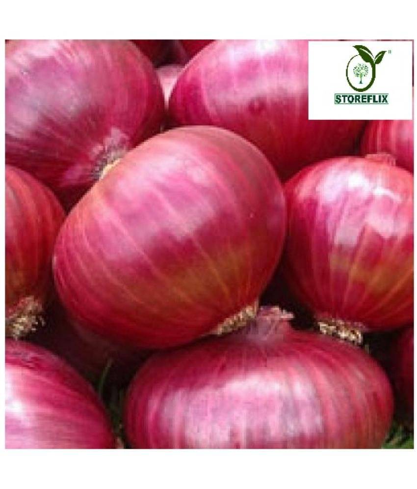 STOREFLIX ONION RED KANDA PYAJ VEGETABLE 500 HIGH GERMINATION SEEDS PACK WITH USER Seed (500 per packet)     			STOREFLIX ONION RED KANDA PYAJ VEGETABLE 500 HIGH GERMINATION SEEDS PACK WITH USER Seed (500 per packet)