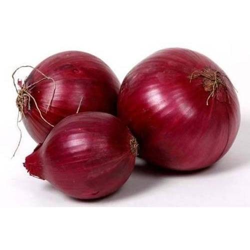 STOREFLIX ONION RED NASIK Seed (500 per packet) WITH USER MANUAL STOREFLIX ONION RED NASIK Seed (500 per packet) WITH USER MANUAL