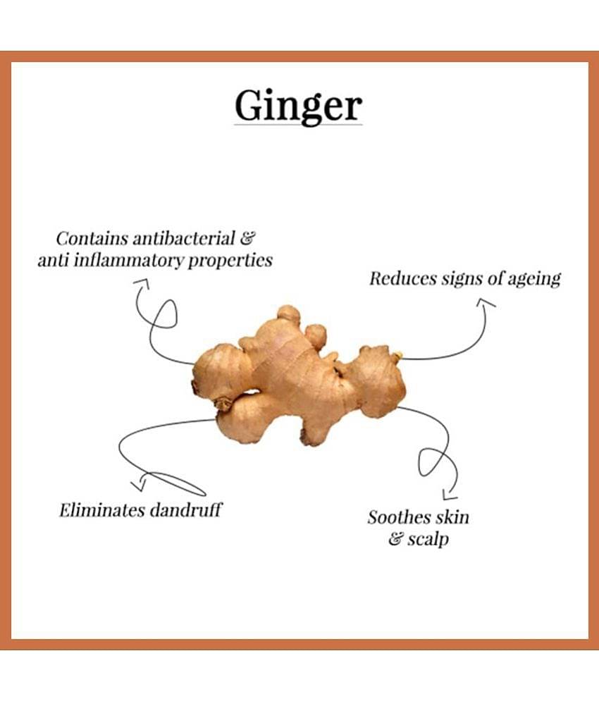 Dravida Organics Ginger Hair Oil - 100% Pure & Natural for Skin & Hair Oil 100 mL