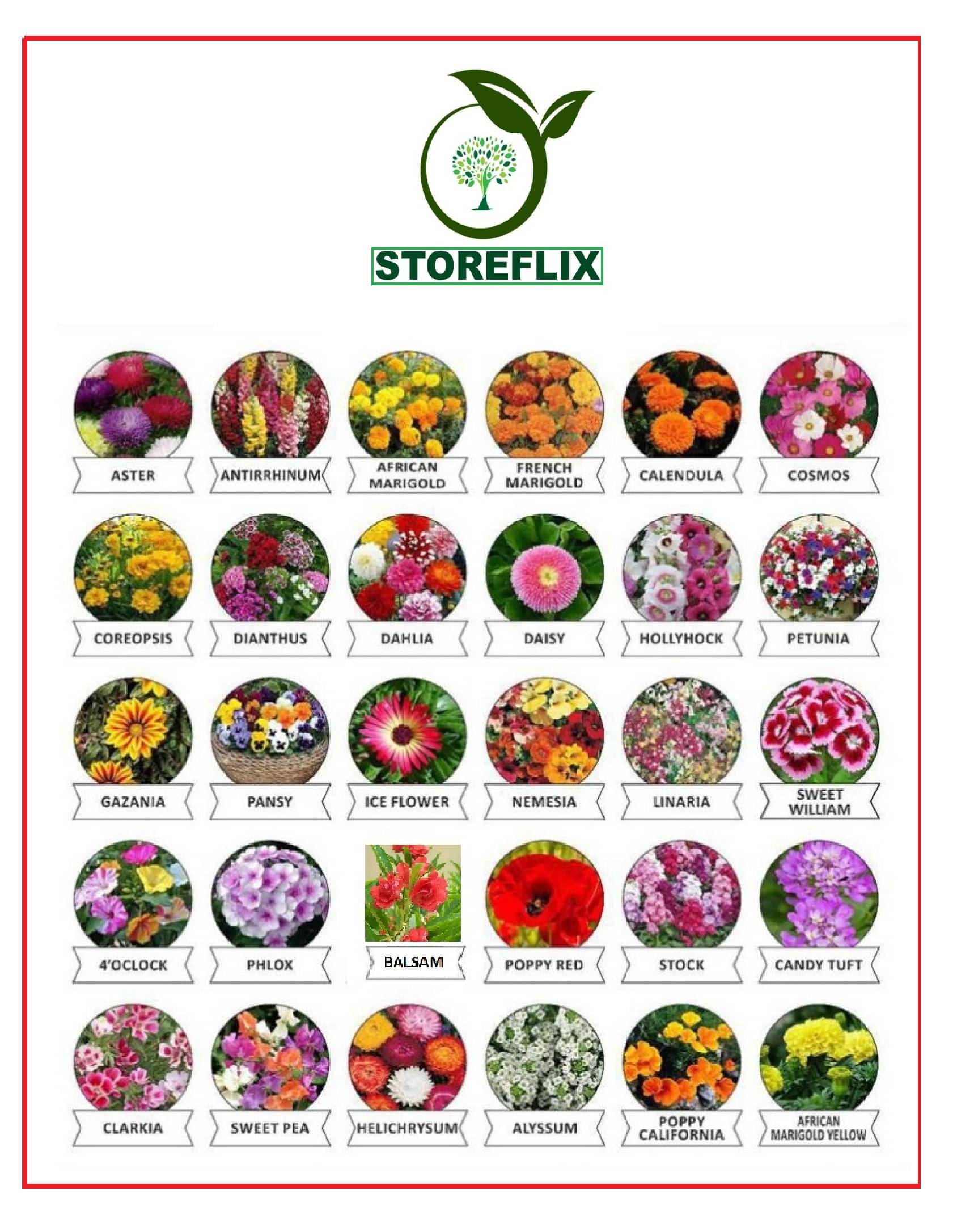     			MIX 30 TYPE FLOWERS HYBRID PREMIUM SEEDS COMBO PACK MORE THAN 1200 SEEDS WITH FREE COCOPEAT AND USER MANUAL FOR HOME GARDENING USE