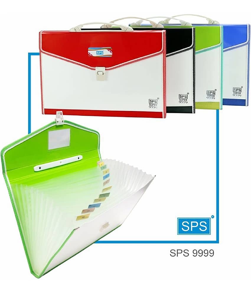 RAVARIYA GRAPHICS 9999 13 Pocket Expanding File Folder with Handle A4/FC Letter Size MULTICOLOUR - Stationery | Buy online on ZillyBuy