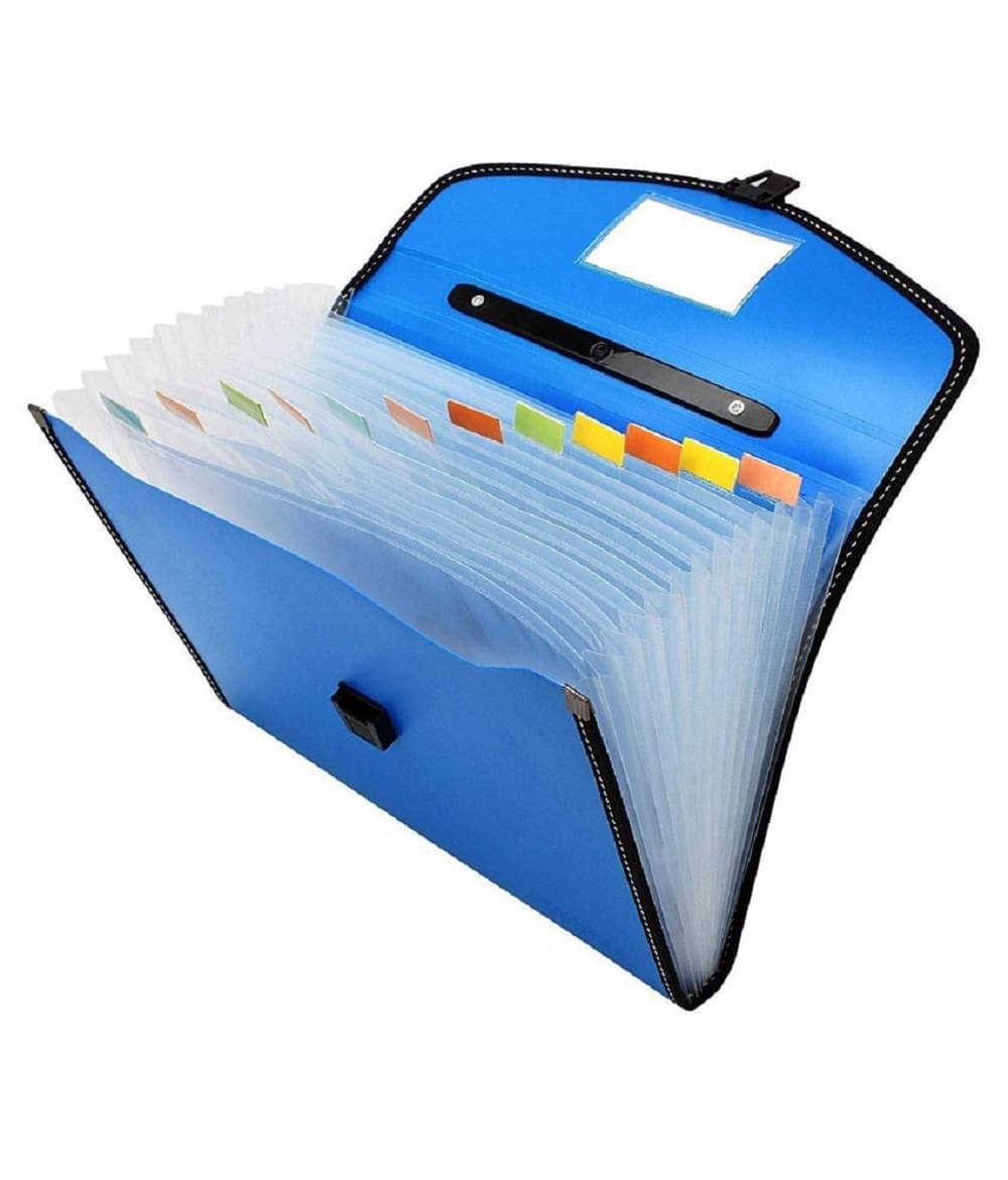 RAVARIYA GRAPHICS Plastic File Folder F/C Expanding Bag with Handle 9999 (13Folder multicolor) RAVARIYA GRAPHICS Plastic File Folder F/C Expanding Bag with Handle 9999 (13Folder multicolor)
