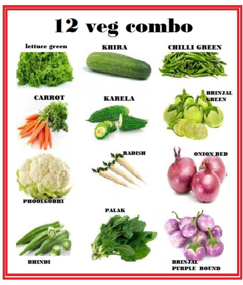    			COMBO OF 12 DIFFERENT TYPE VEGETABLE PLANT SEEDS PACK more tham 250+ seeds pack WITH USER MAmanualNAUL FOR HOME GARDENUNG USE