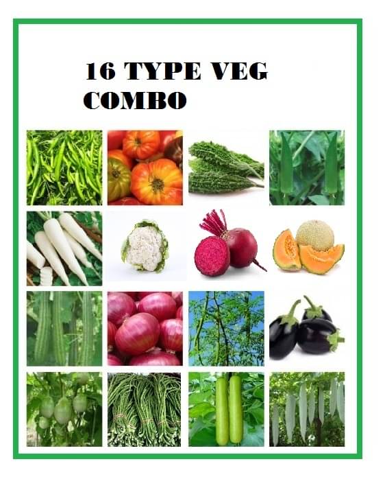 COMBO OF 16 DIFFERENT TYPE VEGETABLE PLANT SEEDS PACK more than 300 seeds pack WITH USER manual FOR HOME GARDENUNG USE COMBO OF 16 DIFFERENT TYPE VEGETABLE PLANT SEEDS PACK more than 300 seeds pack WITH USER manual FOR HOME GARDENUNG USE