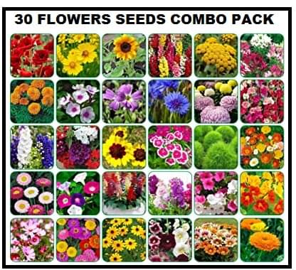 COMBO PACK OF 30 DIFFERENT TYPE WINTER SUMMER FLOWER PLANT MIX 500+ SEEDS COMBO PACK WITH COCOPEAT AND USER MANUAL COMBO PACK OF 30 DIFFERENT TYPE WINTER SUMMER FLOWER PLANT MIX 500+ SEEDS COMBO PACK WITH COCOPEAT AND USER MANUAL