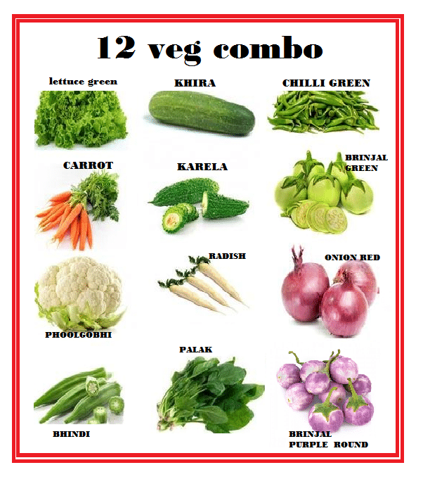 Vegetable Seeds Bank For Home Garden 12 Varieties -200+ Seeds PACK WITH USER MANUAL Vegetable Seeds Bank For Home Garden 12 Varieties -200+ Seeds PACK WITH USER MANUAL