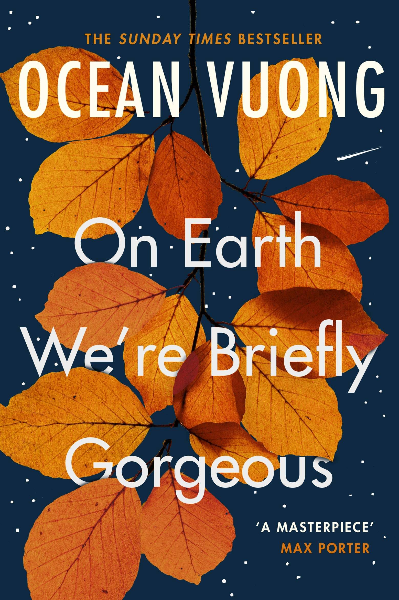     			On Earth We're Briefly Gorgeous: TIKTOK MADE ME BUY IT A masterpiece by Ocean Vuong