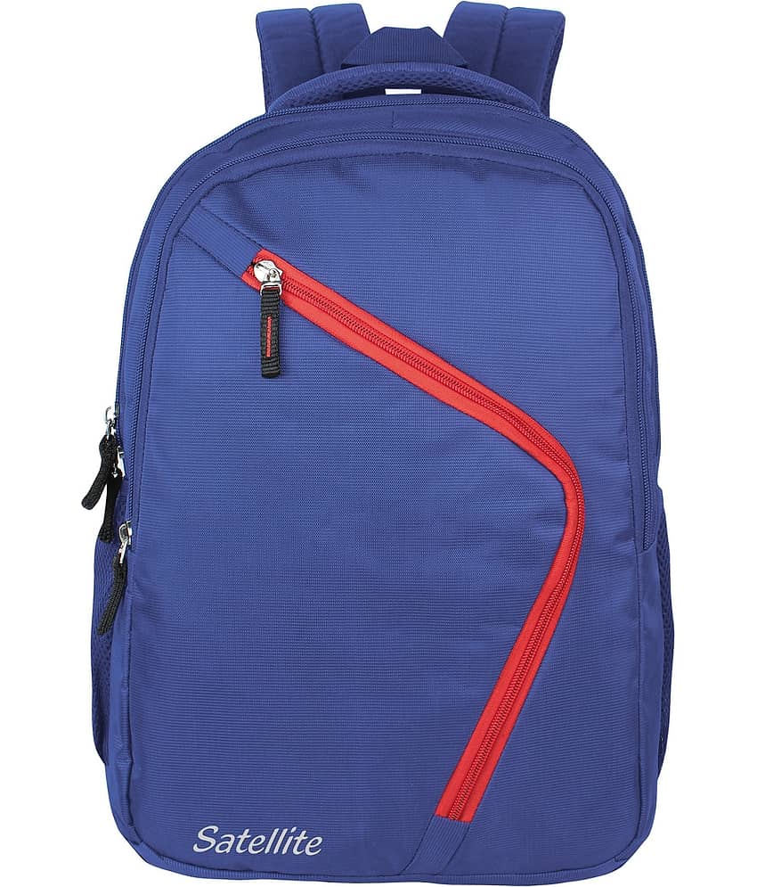 SATELLITE 35 Ltrs Purple Laptop Bags - Handbags | Buy online on ZillyBuy