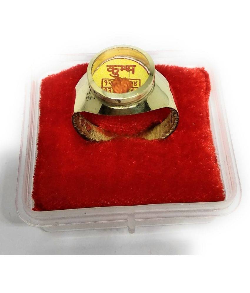     			Apna Rudraksha Brass Yantra