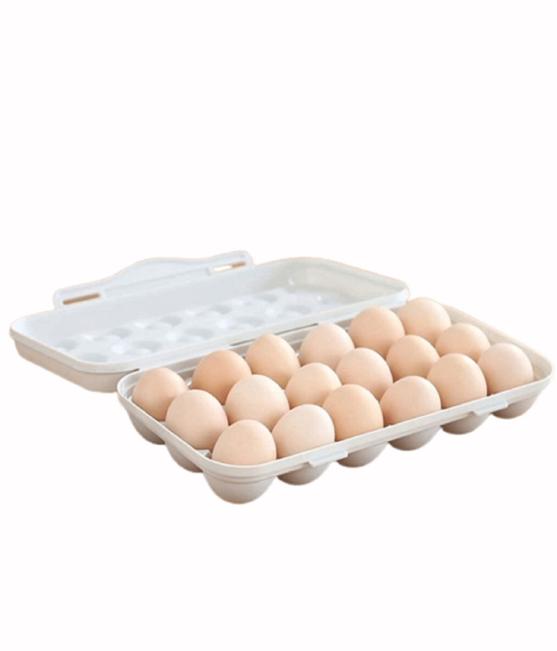     			SHARUJA Multicolor Polyproplene Egg Container ( Pack of 1 )