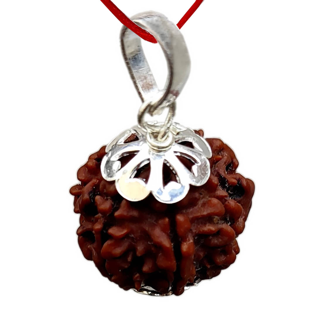 CHAITANYA XPOT - 5 Mukhi Rudraksha Bead ( Pack of 1 ) CHAITANYA XPOT - 5 Mukhi Rudraksha Bead ( Pack of 1 )