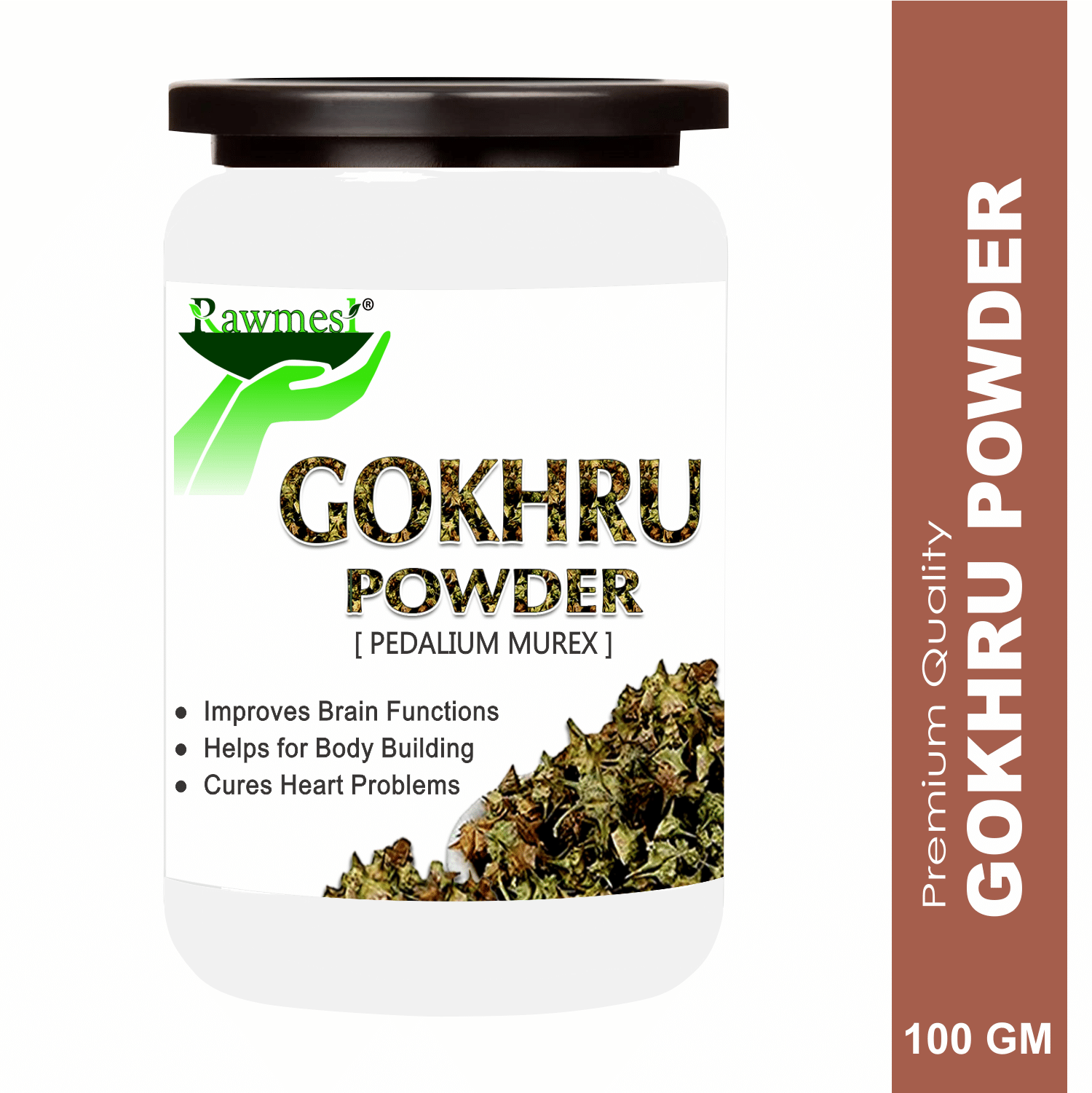    			Rawmest 100% Gokhru For Improve Brain Functions Powder 100 Gm Pack of 1