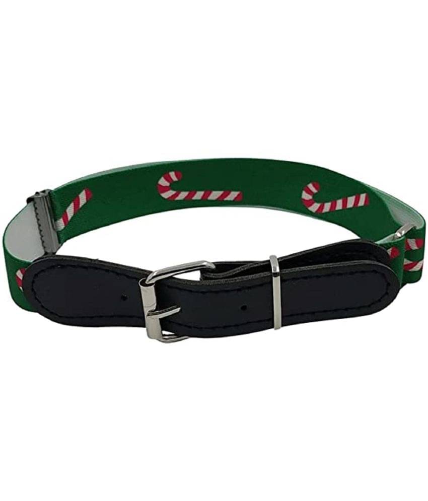    			Zacharias Boy's Stretchable Printed Belt for kids (Green_1-6 Years)