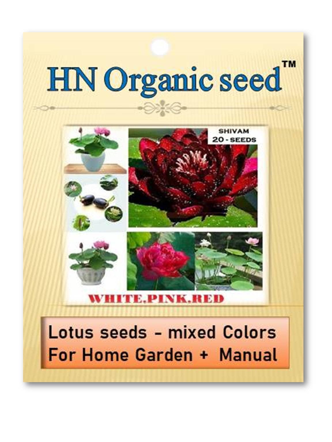 homeagro - Flower Seeds ( Lotus seeds -mixed colours 20 seeds )