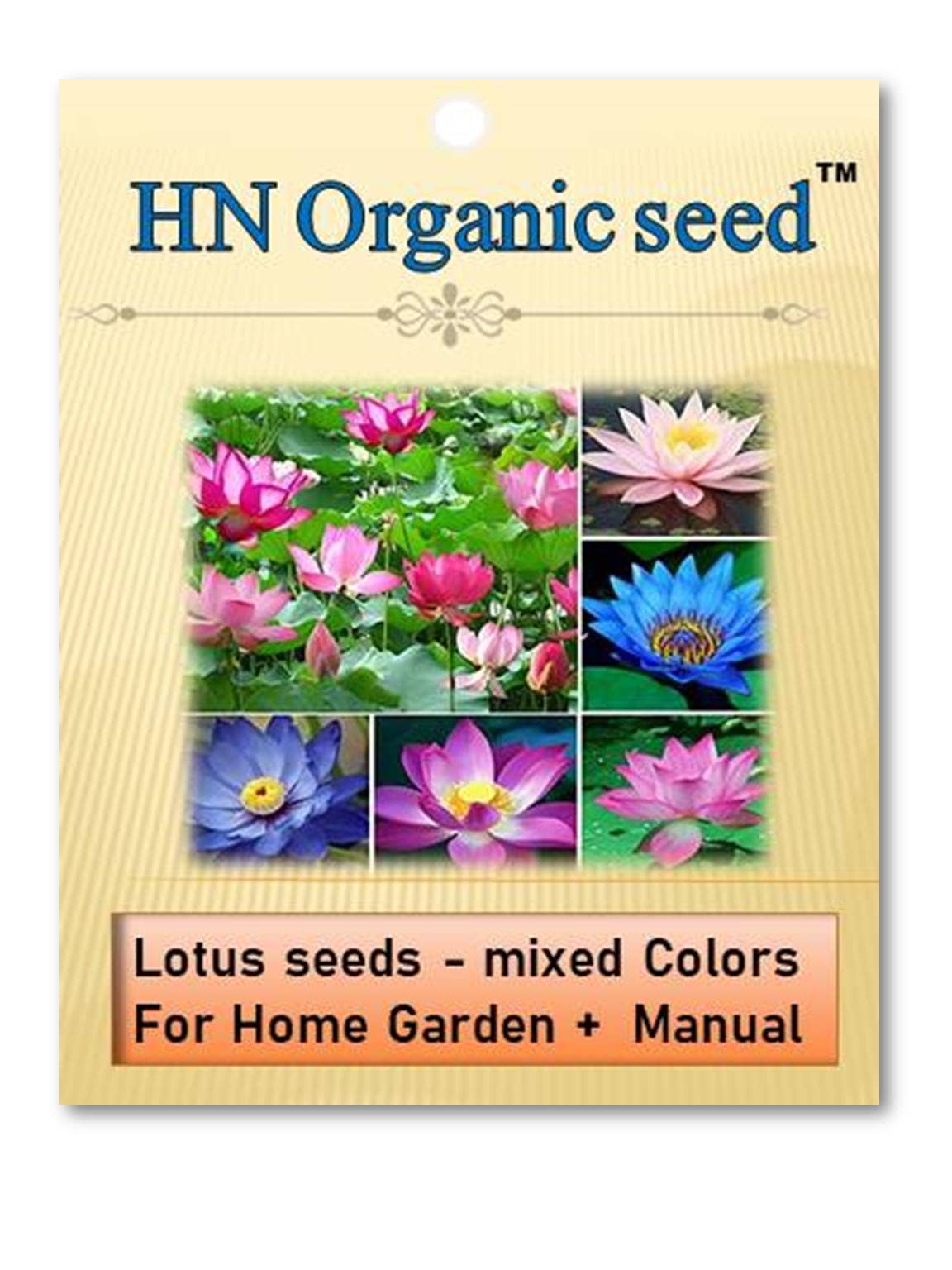 homeagro - Fruit Seeds ( Lotus seeds -mixed colours 20 seeds )