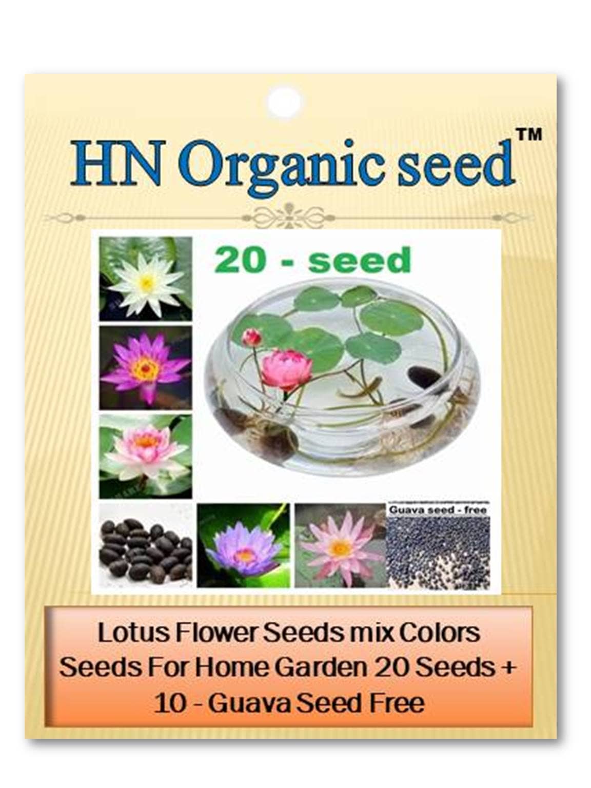 homeagro - Flower Seeds ( 20 )