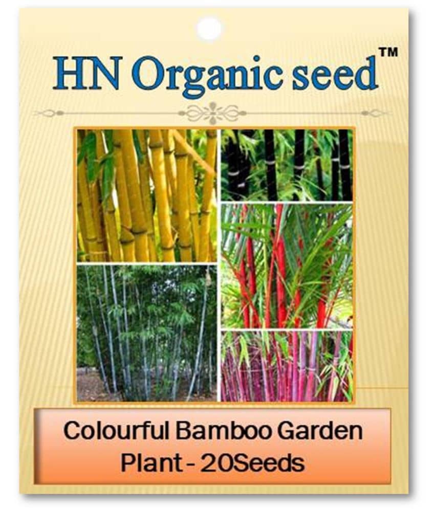 homeagro - Plant Seeds ( 20 )