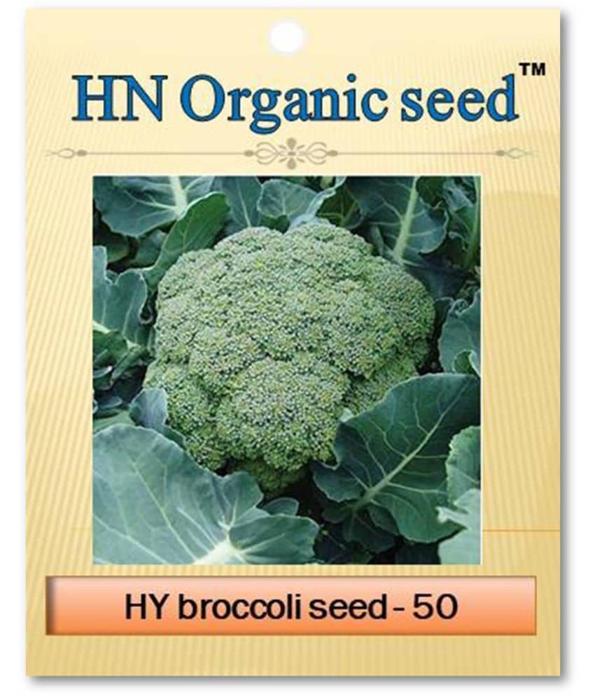 homeagro - Vegetable Seeds ( 20 )