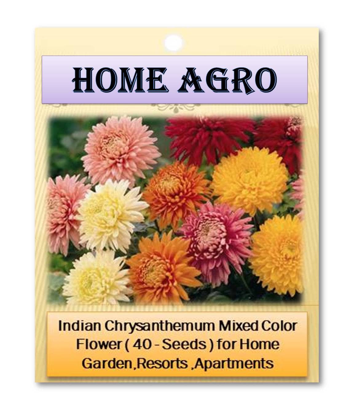 homeagro - Indian Chrysanthemum Mixed Flower ( 50 Seeds )