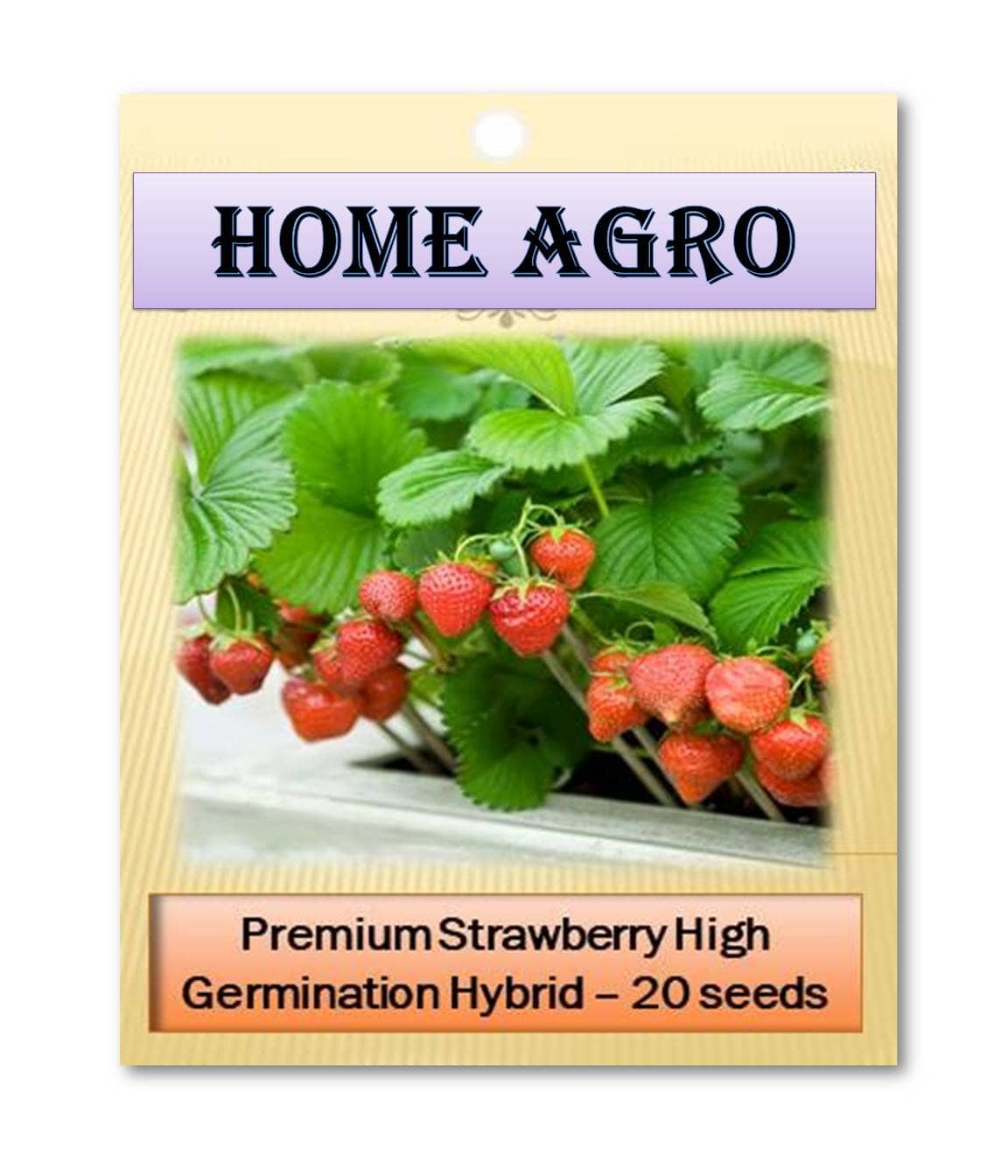 homeagro - Strawberry Fruit ( 20 Seeds )