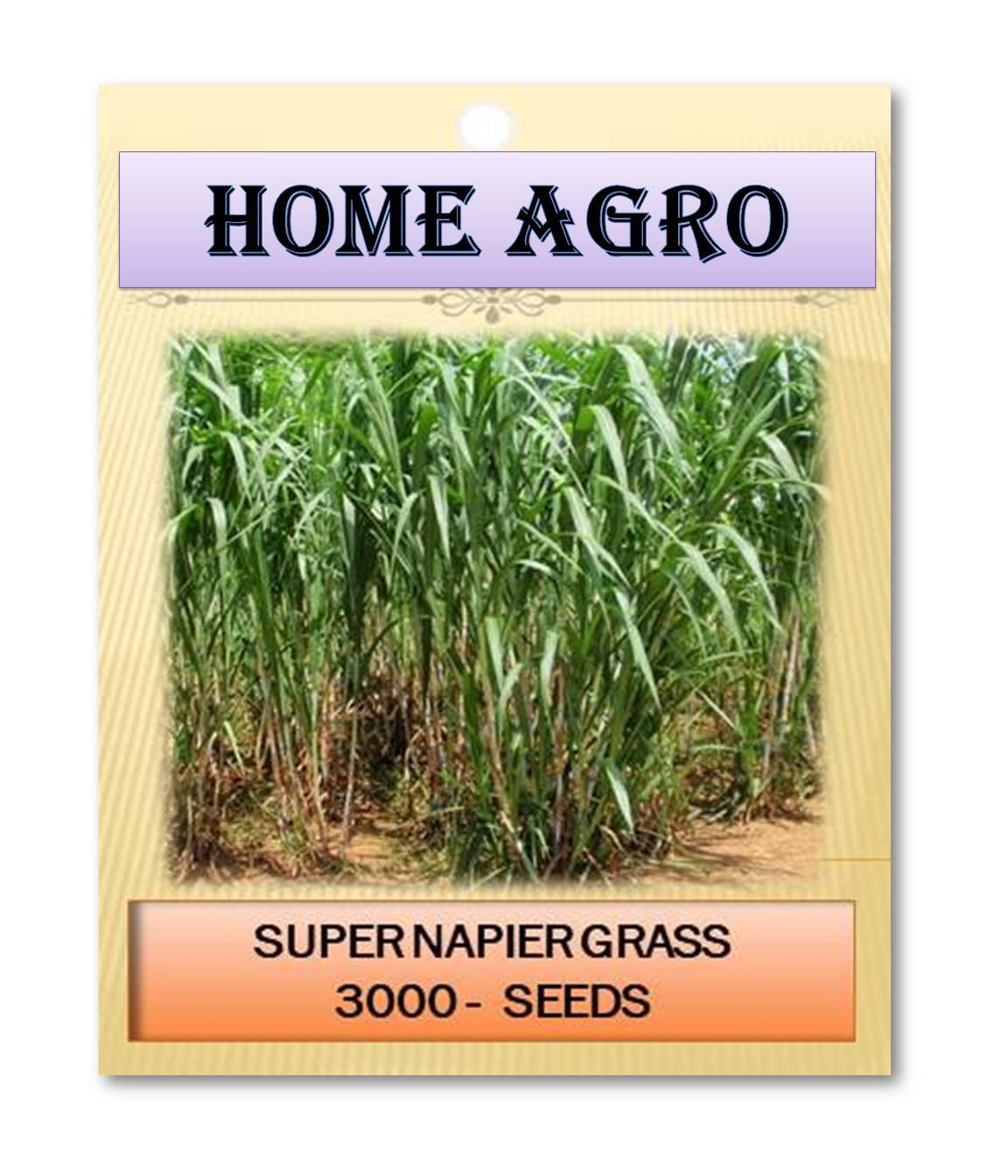     			homeagro - Grass Seeds ( 3000 )