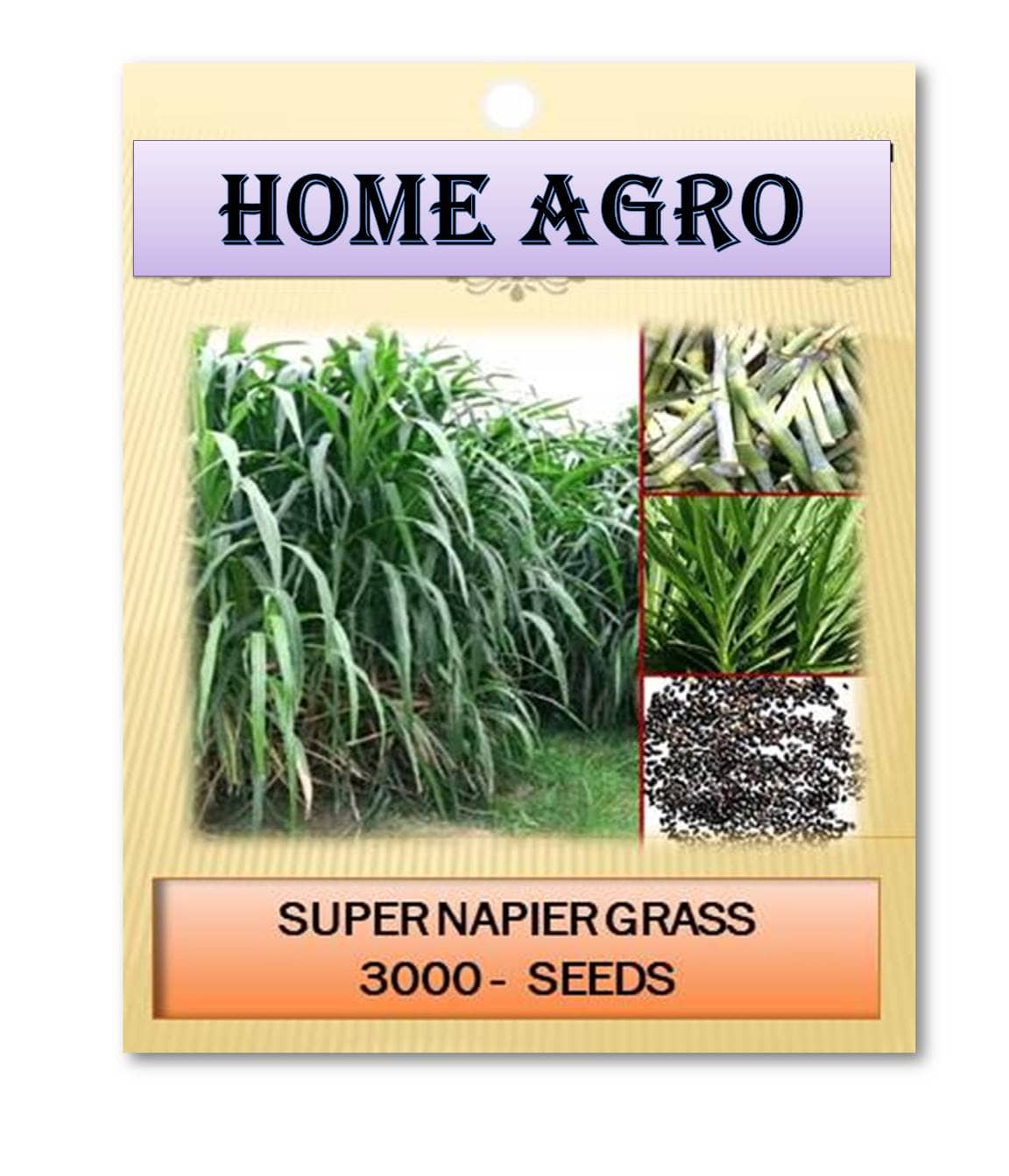 homeagro - Grass Seeds ( 3000 )
