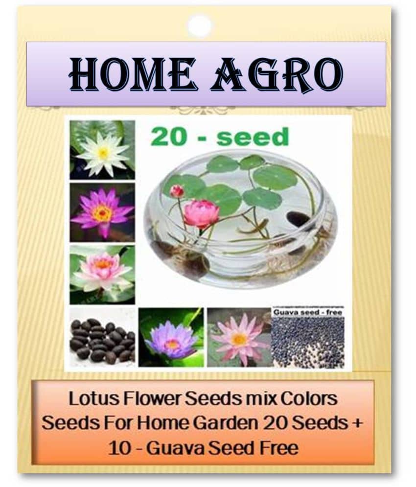 HN organic seed - Flower Seeds ( 20 )