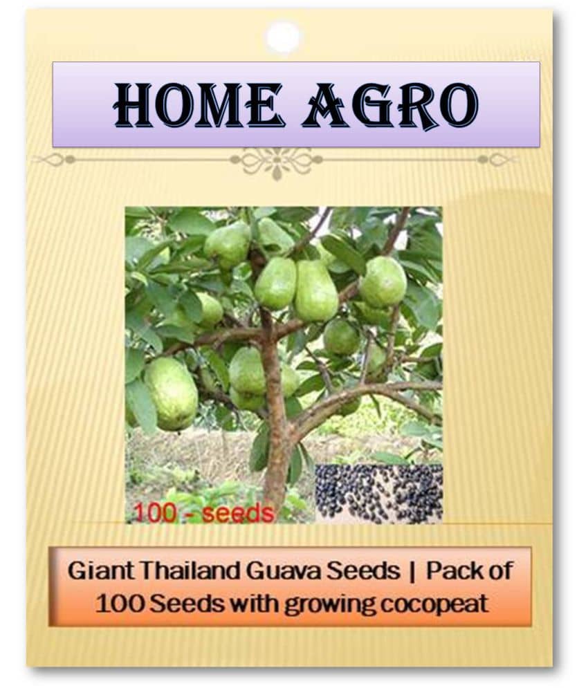 HN organic seed - Fruit Seeds ( 100 )
