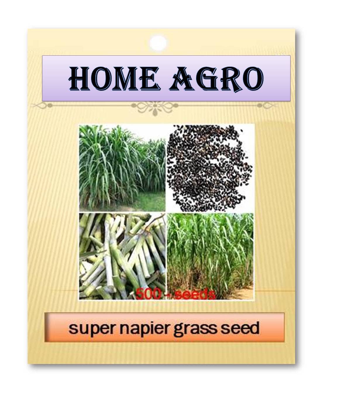 HN organic seed - Grass Seeds ( 500 )